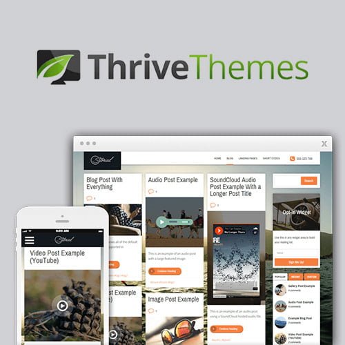 Thrive-Themes-Storied-WordPress-Theme.jpg